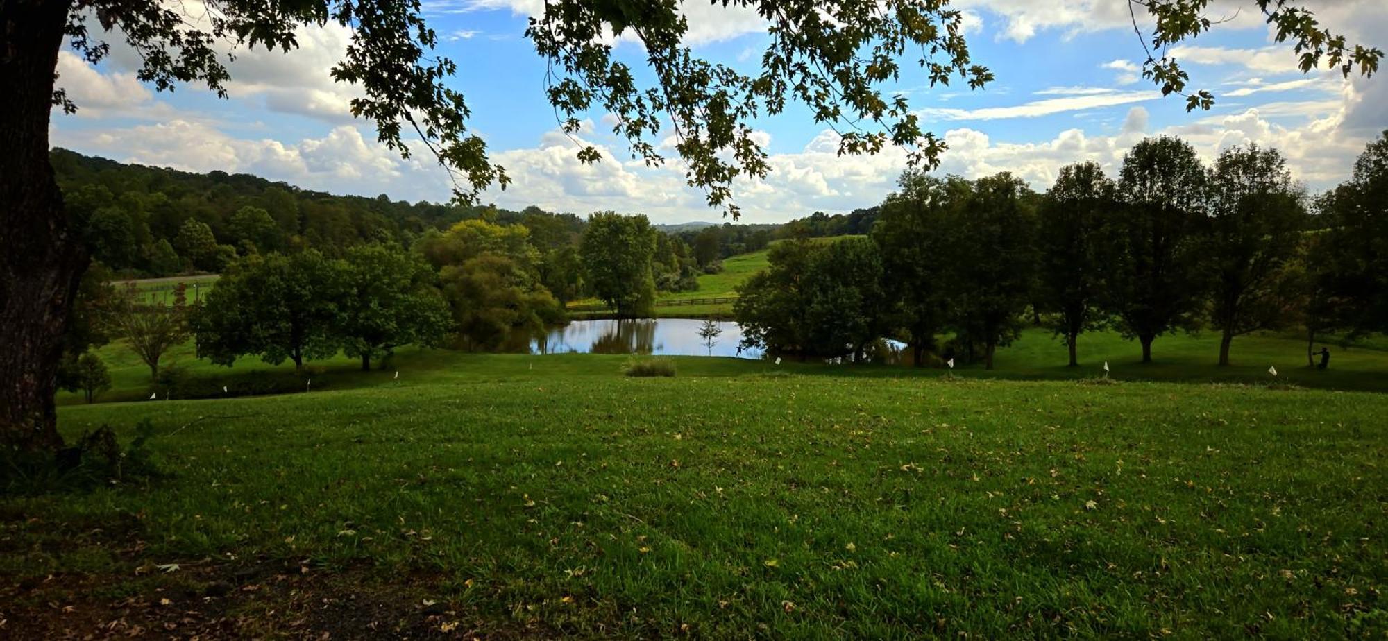West Park Gardens Otel Culpeper Oda fotoğraf